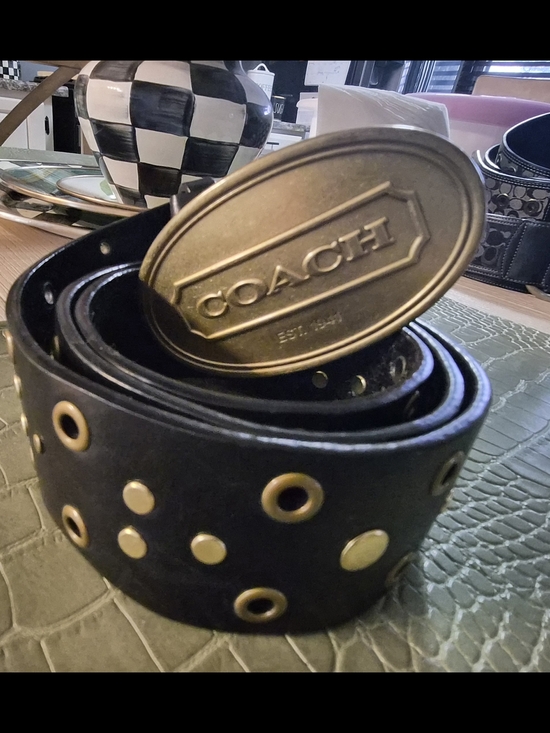 Coach Gold Oval Logo Buckle with Black Strap - Picture 5 of 5